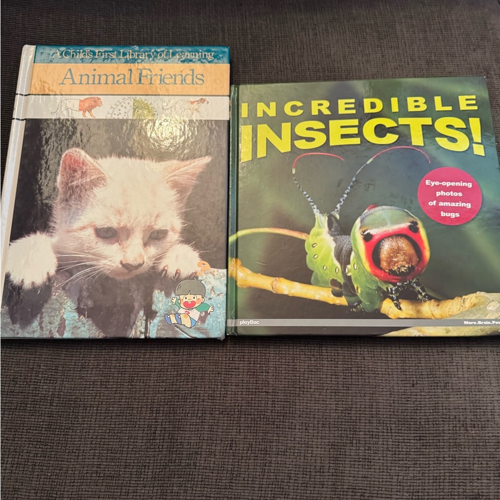 Incredible Insects Book and Cat Book